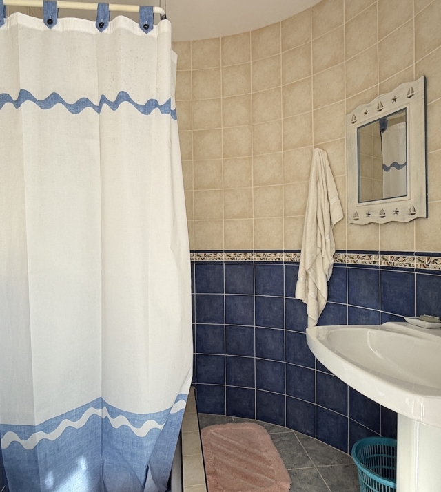 Resa estates ibiza for sale te koop villa huis zwembad san jose bathroom 1.jpeg